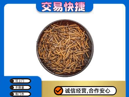 上海市南汇高价回收散虫草